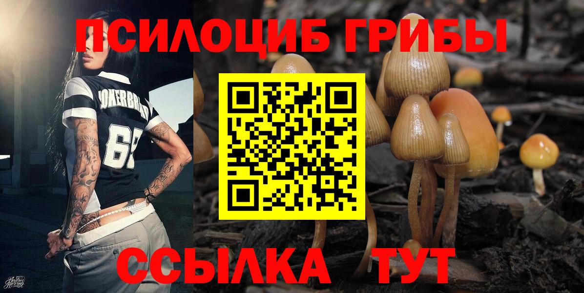 Галлюциногенные грибы GOLDEN TEACHER Батайск