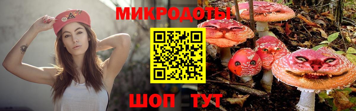 Батайск  Псилоцибиновые грибы Cubensis  Вход с VPN  Псилоцибиновые грибы Psilocybe 